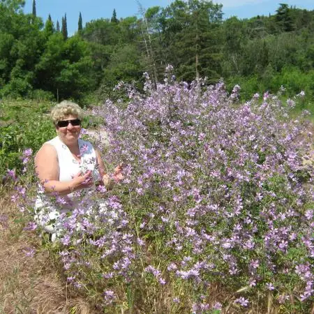 Tamara, 58, Ukraine - WUAMBA