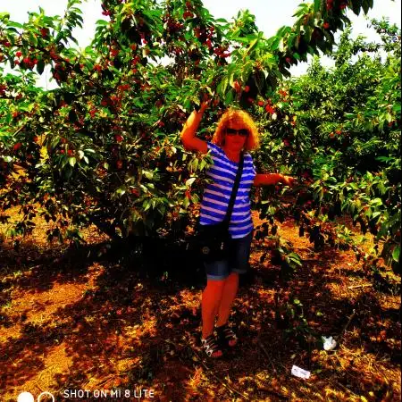 Oksana, 59, Ukraine - WUAMBA