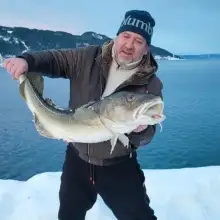 Photo Aleksey 2 