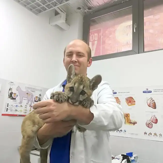 Viktor, 42, Ukraine - WUAMBA